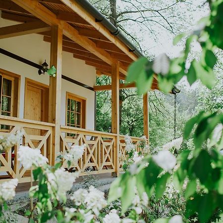 Cosama Village Sighişoara Exteriér fotografie