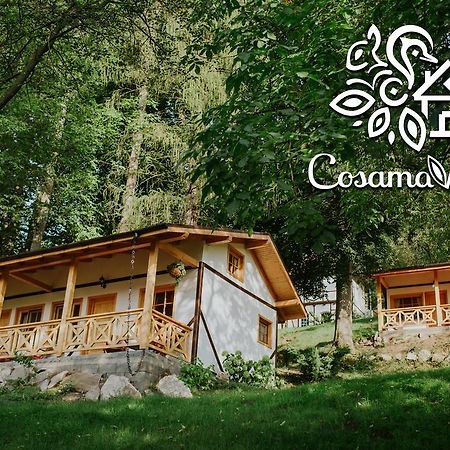 Cosama Village Sighişoara Exteriér fotografie