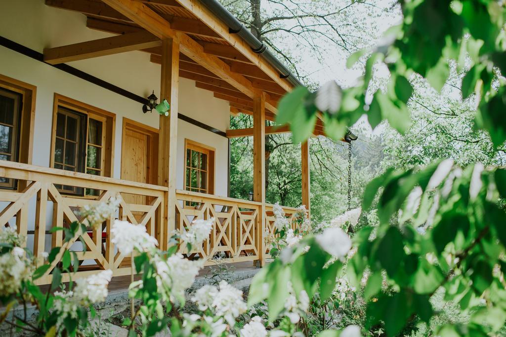 Cosama Village Sighişoara Exteriér fotografie