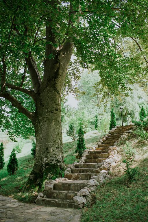 Cosama Village Sighişoara Exteriér fotografie
