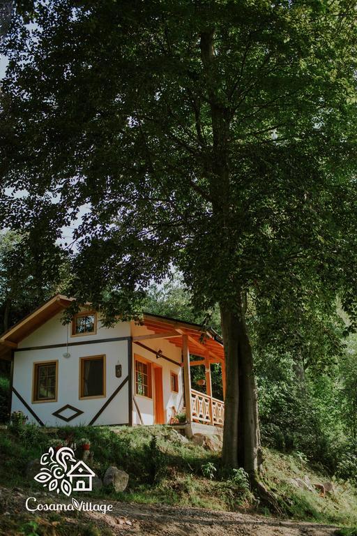 Cosama Village Sighişoara Exteriér fotografie